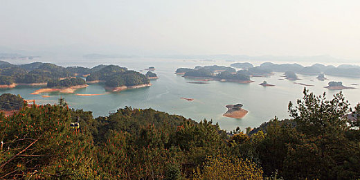 歪歪漫画在线漫画免费阅读平台：极速分镜，狂飙于二次元赛道的漫画车手传说-2