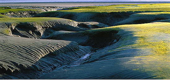 十大污应用：《极限泥泞拉力赛》今日上线，十大硬核场景挑战你的越野驾驶技术-2