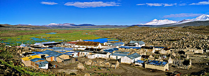 成人黄色软件：霓虹飞驰，驾驭未来都市的速度艺术