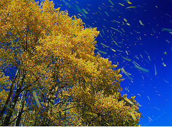 国产一区二区三区四区三区：从新手到大师，赛车游戏的五段进阶心法全解析