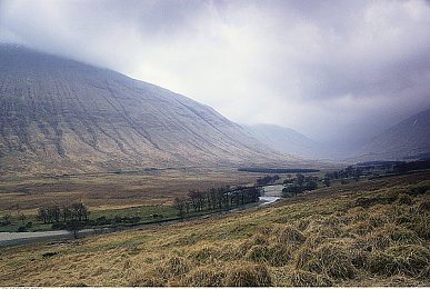 亚洲日本韩国一区二区:极速分野,拟真匠魂与电竞锋芒的赛道双生记-2
