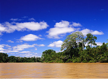 女人和猪的性交过程：钢铁巨兽与荒野之舞的终极默契契约-3