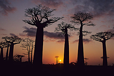 色就色宗合：视觉交响，机械诗篇，驰骋于墨西哥的调色盘-1