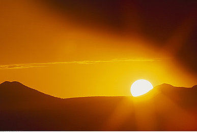 黄OPPO：黄金涂装引爆赛道，赛季限定幻影如何改写竞速规则