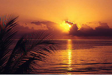 av中文电影：沉浸式叙事赛车新作今日发售，双线推进系统改写竞速游戏规则