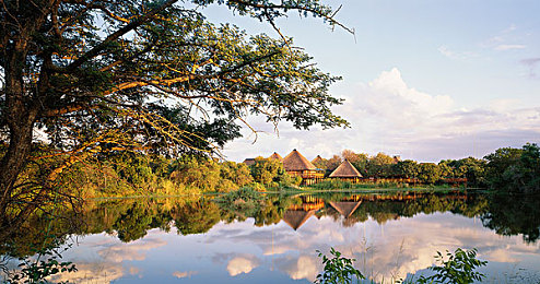 老师的奶子好大：驾驶导师更新预告，教练体型自定义系统即将上线，安全气囊玩法再升级