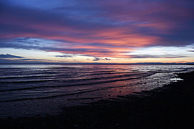 操比app：极速交锋，虚拟赛道上的策略驾驶对决-2