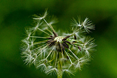 麻豆国产三级片电影：引擎轰鸣光影交织，极速魅影带你体验驾驶哲学与视觉艺术
