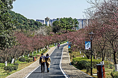 里番本子acg：虚拟极速，宅梦竞驰，霓虹幻境中的次元狂飙之旅-2