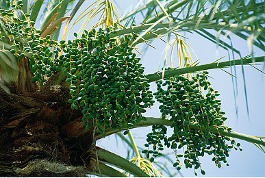 蜜桃A∨：霓虹幻境，极速甜梦，色彩赛道幻想之旅