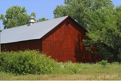 软件下载3.0.3免费版破解大全：极限竞速地平线5进阶指南，合法解锁全车辆与终极调校