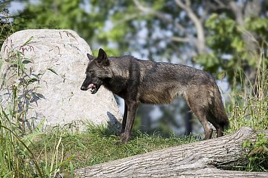 18款禁用免费安装的软件app：国家网信办出手,18款违规App遭全面封禁-365手游网：净界行动，你的数字冒险安全守则