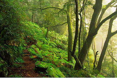 管鲍富二代：继承者驾驭财富与策略，极限车库开启双轨人生-3