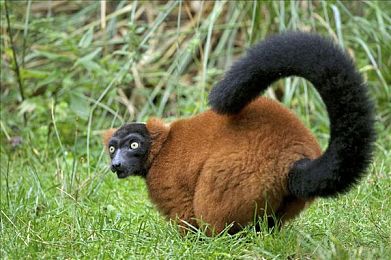 亚洲综合第一区：征服东方复合赛道，极限调校决胜动态天气