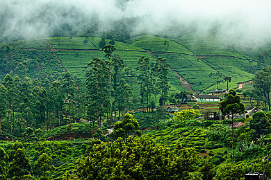 17c.com黑料吃瓜：极速暗影中，隐秘调整引发的信任风暴与赛道博弈-2