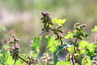 男生和女生做差差事情app：双车协同颠覆传统竞速，极速搭档开启差异互补新玩法