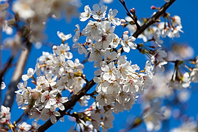 男生困困在女生困困里的：彩虹轨迹颠覆速度法则，美学竞速重构虚拟赛道哲学-2