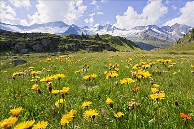 晚上打扑克：霓虹赛道暗藏玄机，卡牌竞速革新玩法今日正式上线