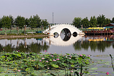 91传媒麻豆传媒：双线狂飙，霓虹商战与极速轨道的未来交响-3