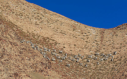 火辣辣福利网站：极限竞速地平线5隐藏车库揭秘，每周赛季稀有车辆获取全攻略