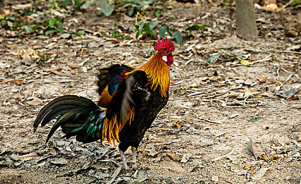 三上悠亚上司:极速职场双线狂飙,征服赛道与办公室的终极挑战-1