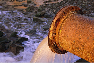 国产白袜男Gaychina白袜男生：虚拟偶像极速风尚，穿搭竞速引爆都市潮流之旅-2