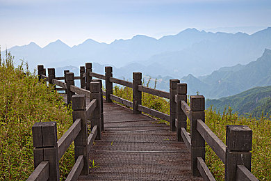 打扑克又喊又叫免费视频下载：极速牌局，赛道狂想，策略轰鸣-2