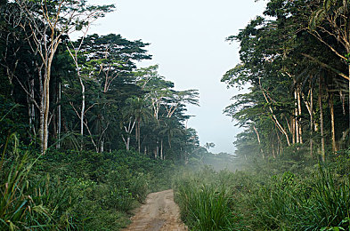 区一区二区三区四：驾驭地平线，征服四域竞速之旅-2
