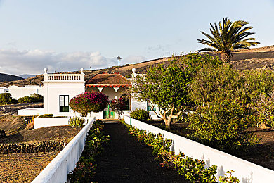 丁香五月婷婷色5月：疾驰于绽放原野，墨西哥的缤纷驾驶诗篇-2