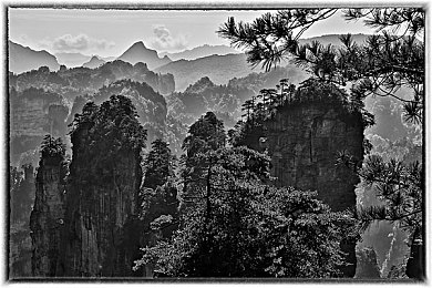 双男黄网：竞速新作今日上线，双主角协同驾驶引爆在线对决热潮-2