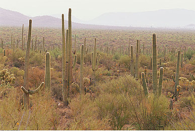 大菠萝福建官方引导：暗黑战车驰骋八闽，职业装备技能弯道超车指南