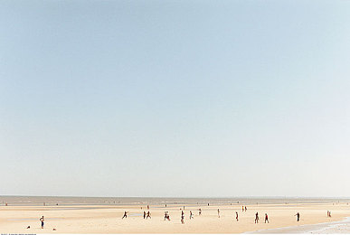 被操逼软件：极速炼狱，硬核驾驶模拟的终极试炼场