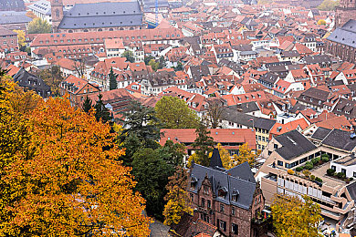 中国业余自由性别:虚拟赛道释放真我,地平线驰骋自由驾驶梦-3