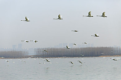 学生小白鞋棉袜羞辱调教：疾风学院正式上线，校园赛车手从零开始的极速养成之旅-3