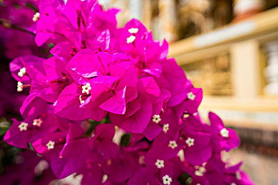 国精品一区：驾驭国产名车，征服全球赛道，体验速度与情怀的完美融合