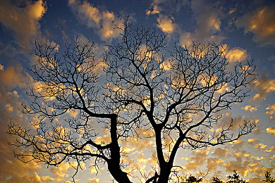 搞鸡巴APP:极速狂飙街头霸主,硬核调校系统开启移动竞速新纪元-3