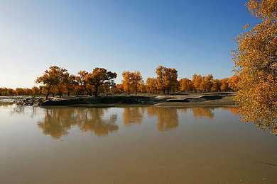 火辣福利网：极速狂飙，挑战隐藏关卡赢取限定豪车配件-2