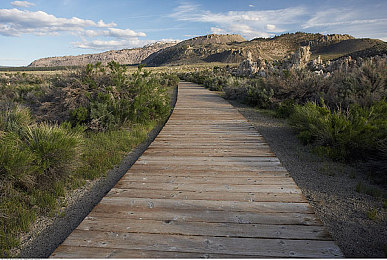 女生脱光衣服的视频软件：疾风车神改装揭秘，裸衣系统展现机械美学实战攻略