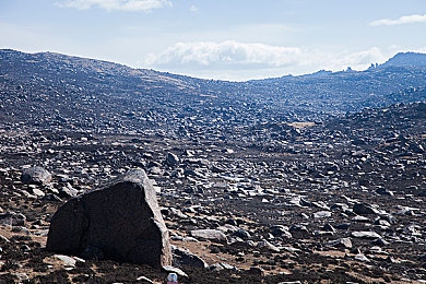 男生和女生搞坤坤：双人共舞，极速搭档的默契漂移之旅