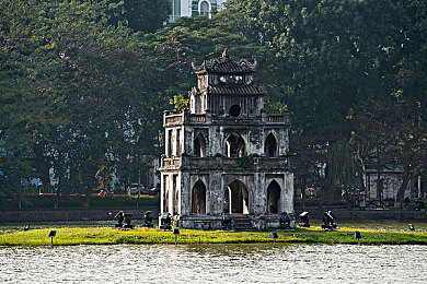 黄色的软件下载：墨西哥阳光下的虚拟镀金之旅-1