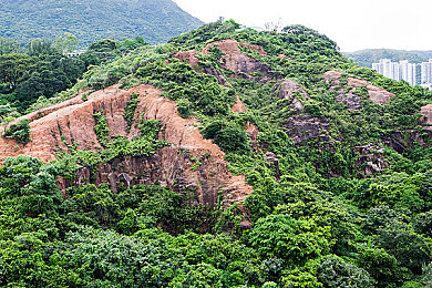 黄色应用vivo：极速明焰，掌中竞逐的都市地平线