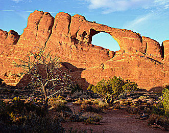 捅鸡巴软件：当编程代码成为赛车引擎，体验黑客竞速的数字狂飙