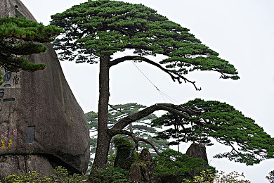 男男双龙Gay无套Gay无套：极速羁绊，悬崖共舞的信任协奏