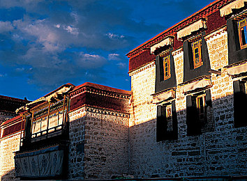 性多多：霓虹轨迹，车魂交织的都市传说