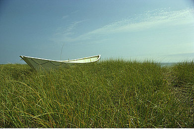 中国的自由性别26业余的：国产独立赛车新作发布，自定义驾驶人格与二十六种改装流派颠覆传统体验