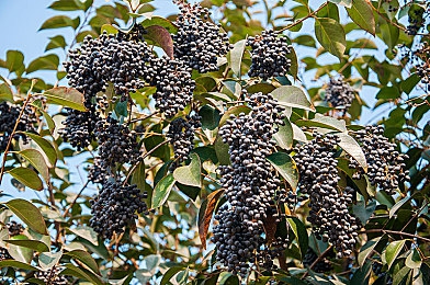 美女漏胸软件：极速幻想涂装系统解析，打造个性赛车艺术指南-2