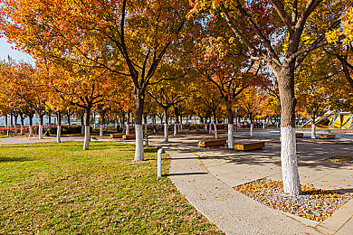 王者女英雄无小爱心照片:从甜美装饰到战术内核,王者荣耀女英雄设计风格全面进化-2