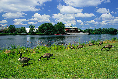 机机对机机无需要下载软件：硬核赛车模拟新作今日上线，极致物理引擎带来真实驾驶革命