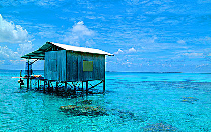 我鸡巴软件：硬核竞速新作登场，极致拟真体验征服赛道挑战者-2