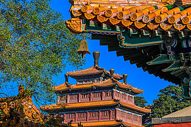 男女高级软件：竞速新作颠覆传统，动态神经适配系统引发驾驶革命-4